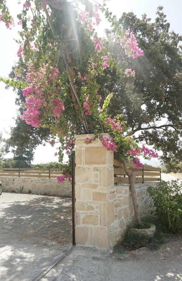 Studio Eleni - Oasis Holiday Houses Kokkinos Pirgos Bagian luar foto