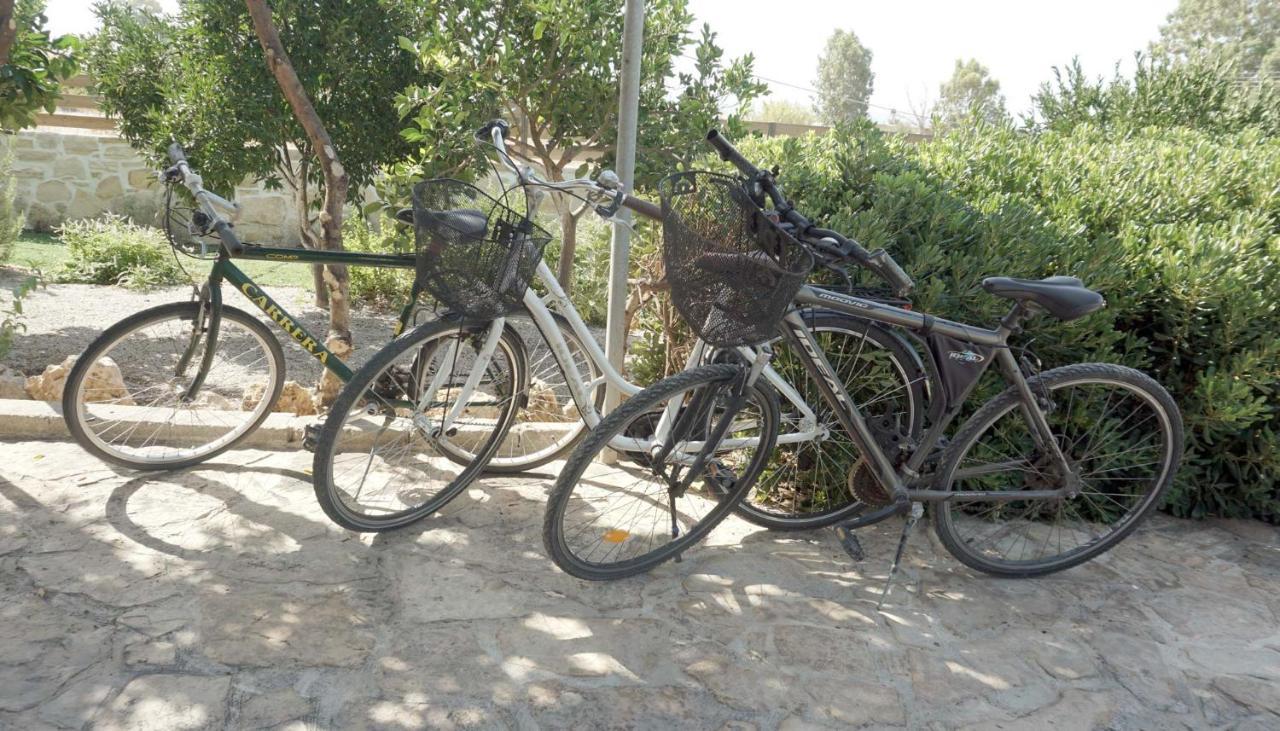 Studio Eleni - Oasis Holiday Houses Kokkinos Pirgos Bagian luar foto